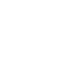Wendy's Daily logo